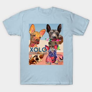 XOLO Darlings (Mexican hairless dogs)  5 puppies T-Shirt